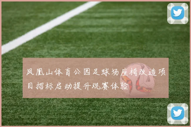 凤凰山体育公园足球场座椅改造项目招标启动提升观赛体验
