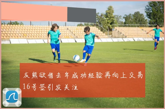 灰熊欲借去年成功经验再向上交易16号签引发关注